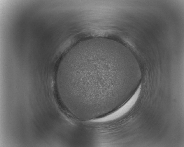 X0000067480687200604150016