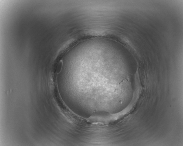 X0000067480688200604150016