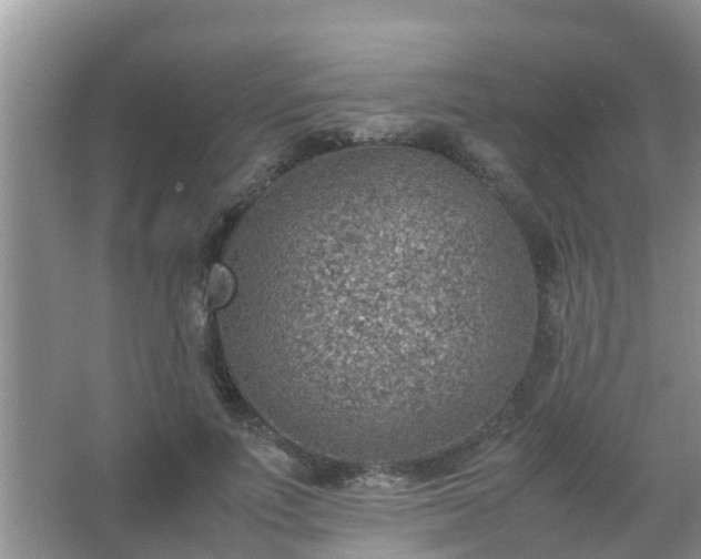 X0000067480691200604150016