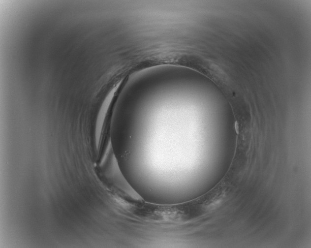 X0000067480693200604150016