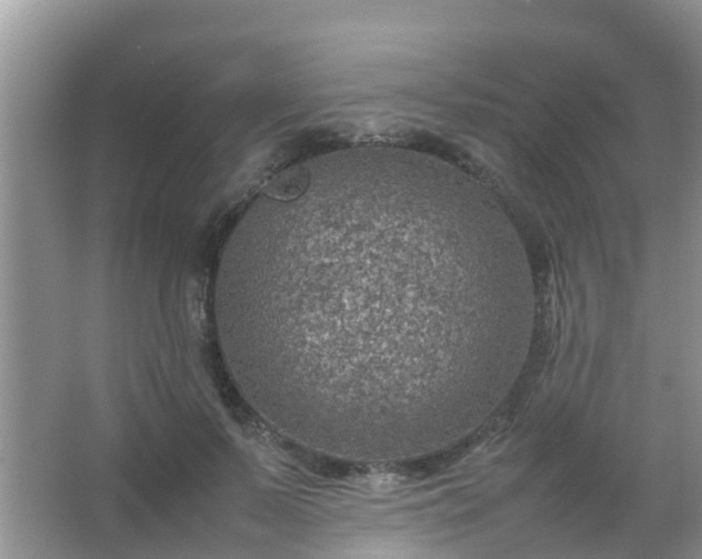 X0000067480695200604150016