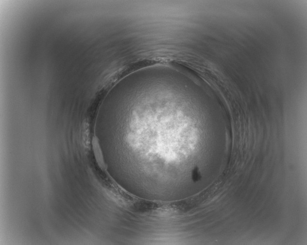 X0000067480696200604150016