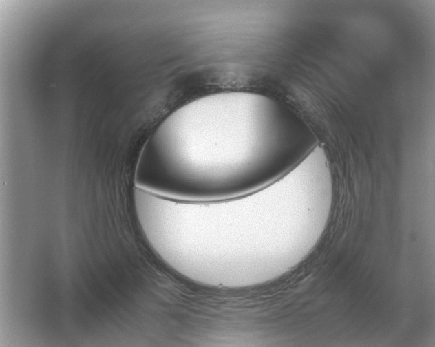 X0000067480697200604150016