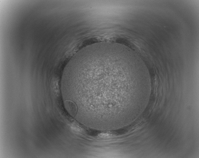 X0000067480699200604150016