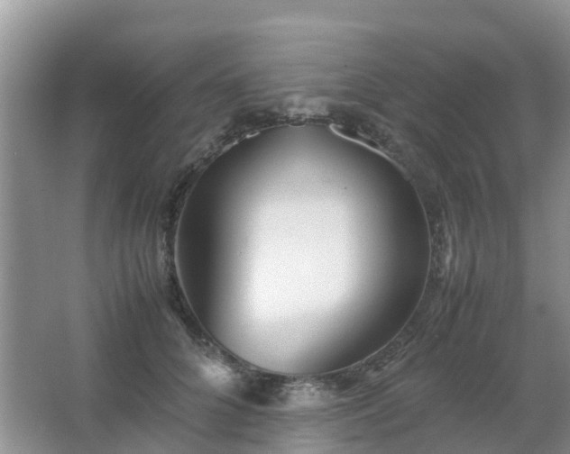 X0000067480704200604150016