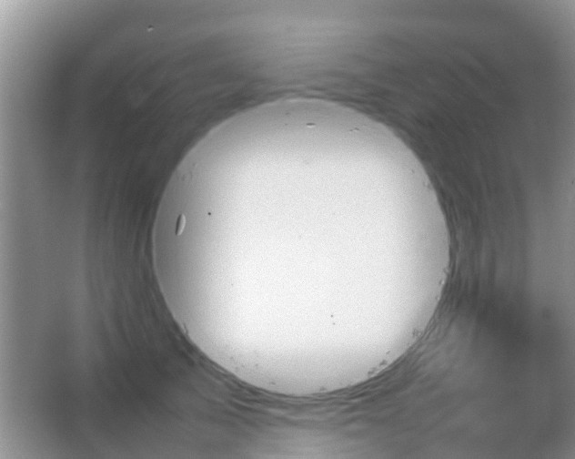 X0000067480705200604150016