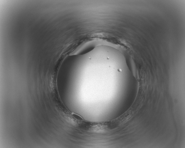 X0000067480708200604150016