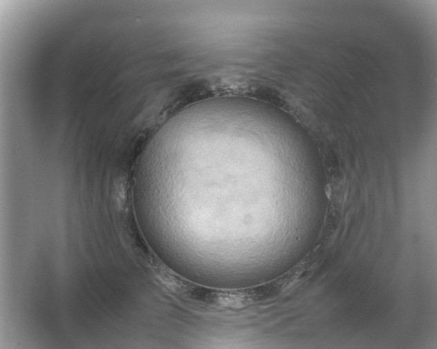 X0000067480709200604150016