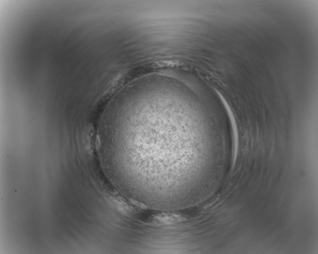 X0000067480712200604150016