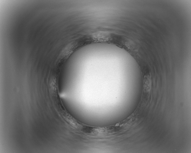 X0000067480713200604150016