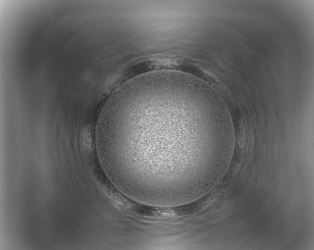 X0000067480715200604150016