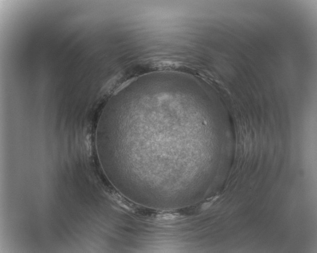 X0000067480716200604150016