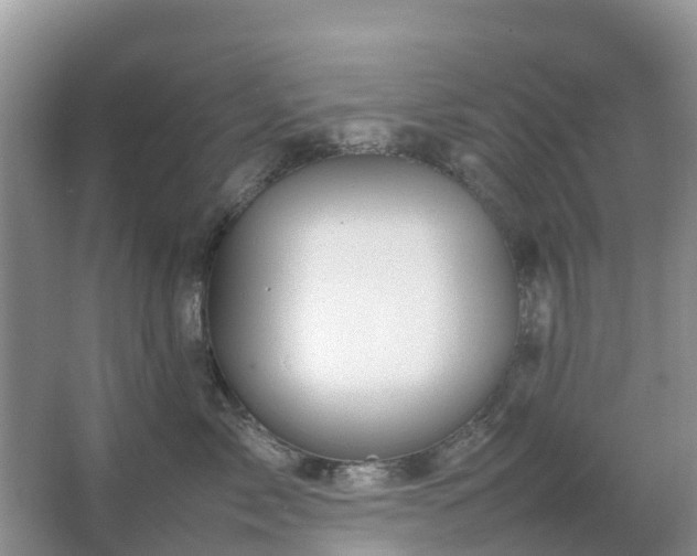 X0000067480717200604150016