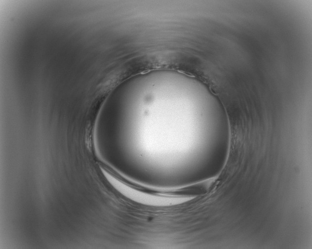 X0000067480719200604150016