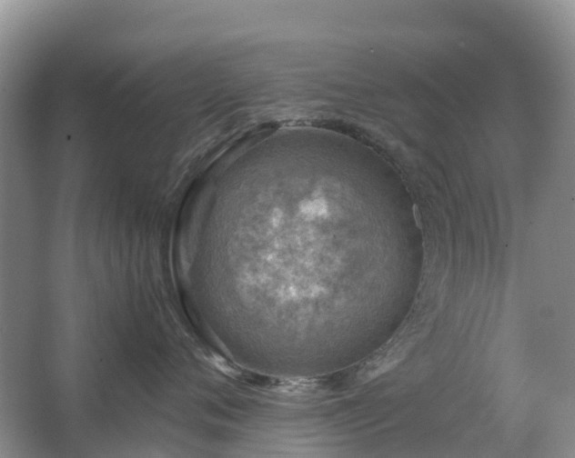 X0000067480720200604150016