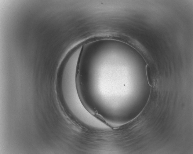 X0000067480724200604150015