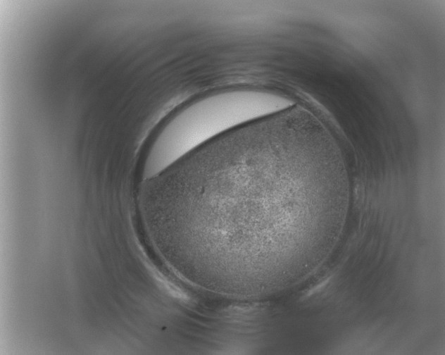 X0000067480725200604150015