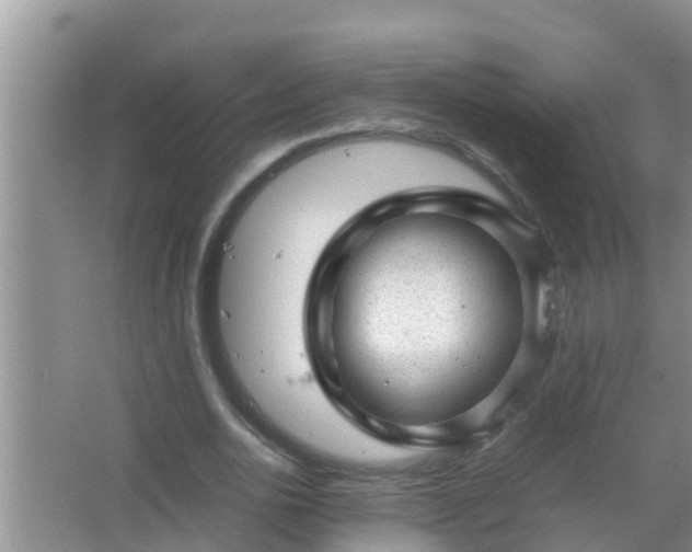 X0000067480726200604150015