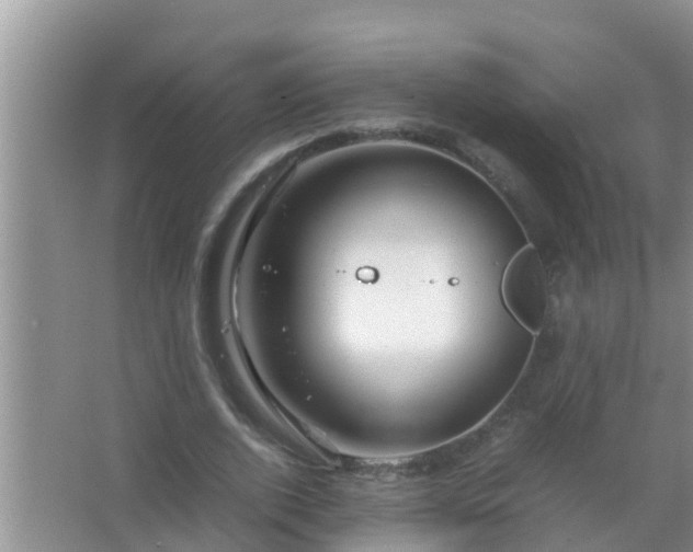 X0000067480728200604150015