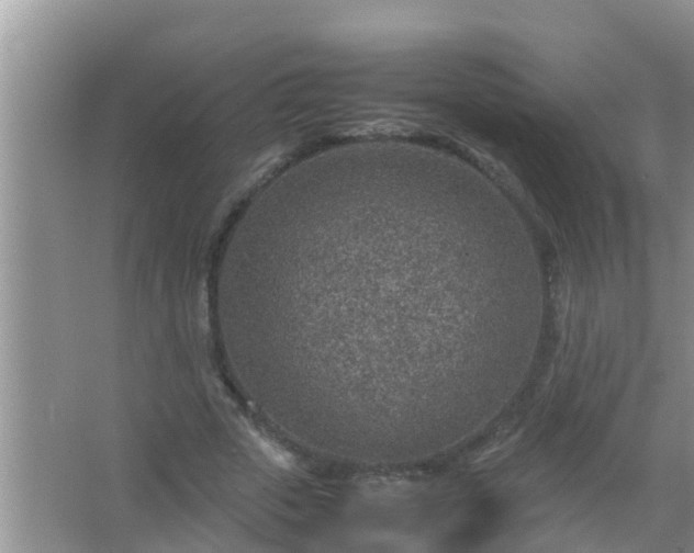 X0000067480729200604150015