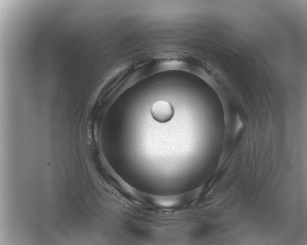 X0000067480731200604150015