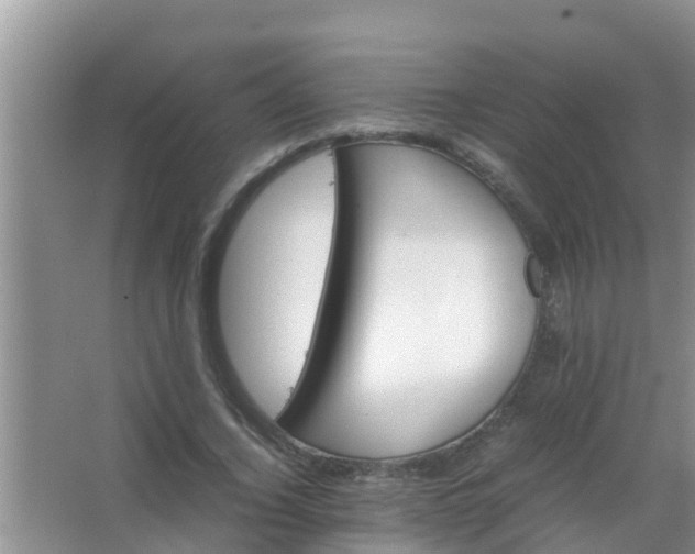 X0000067480732200604150015