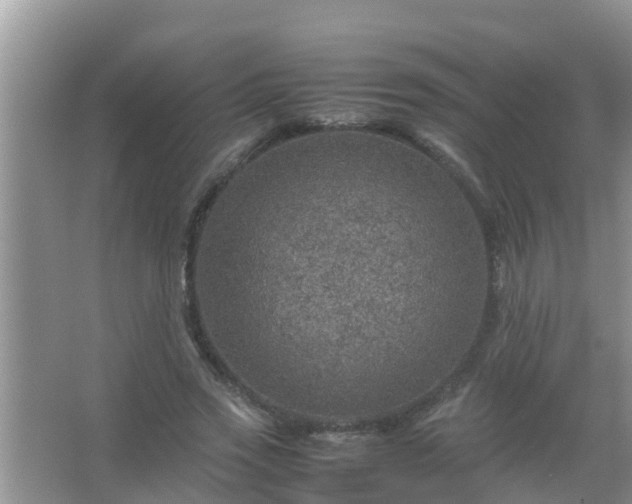 X0000067480733200604150015