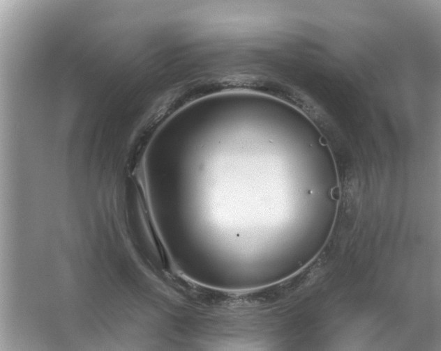 X0000067480734200604150015