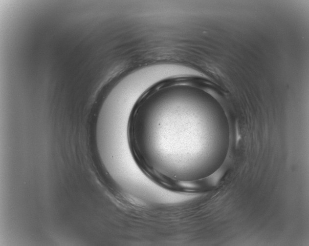 X0000067480735200604150015