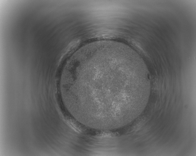 X0000067480738200604150015