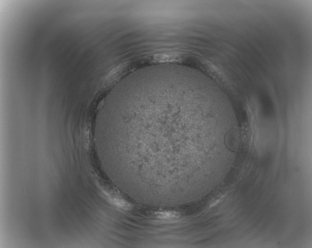 X0000067480741200604150015