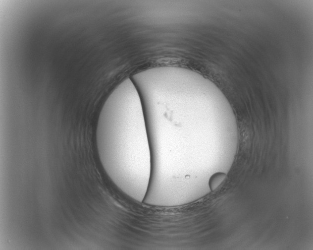 X0000067480745200604150015