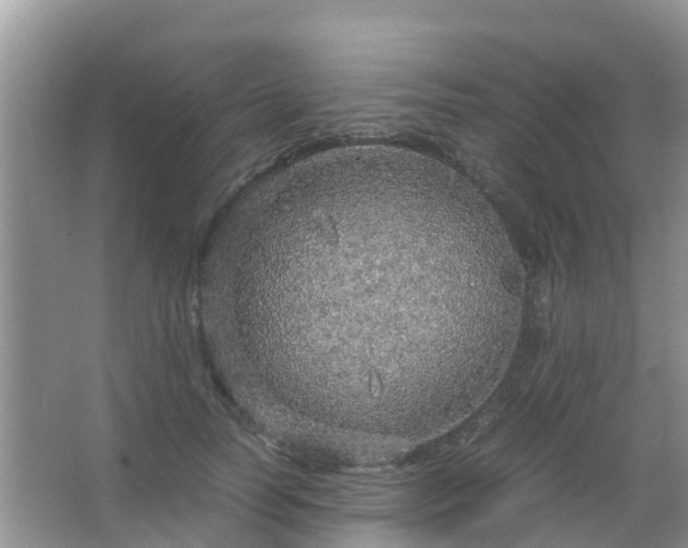 X0000067480746200604150016