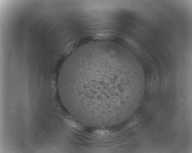 X0000067480749200604150016