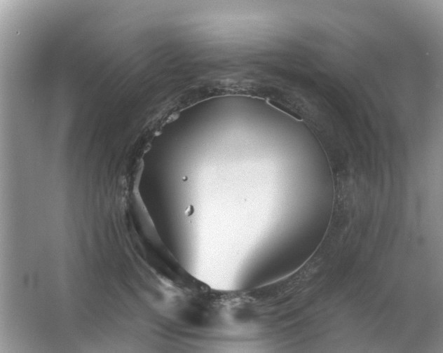 X0000067480752200604150016