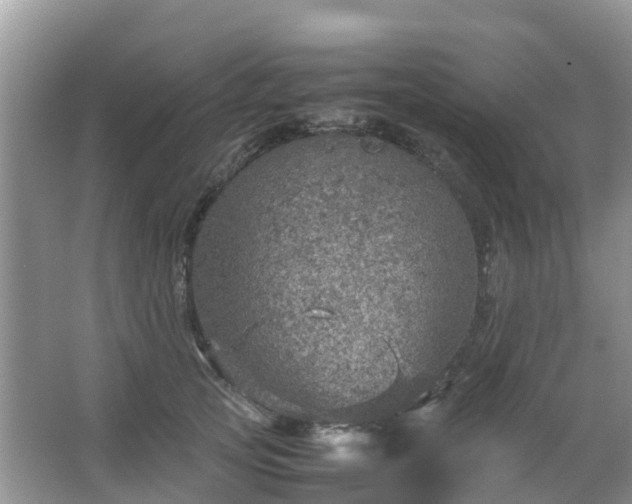 X0000067480753200604150016