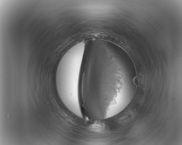 X0000067480754200604150016