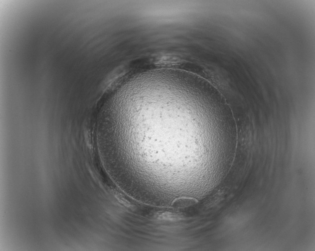 X0000067480755200604150016