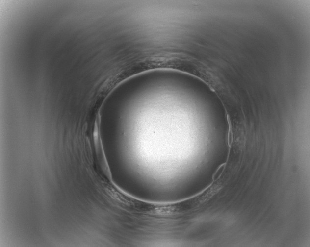 X0000067480758200604150016