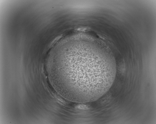 X0000067480759200604150016