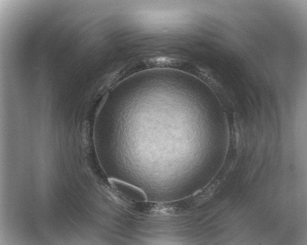 X0000067480760200604150016