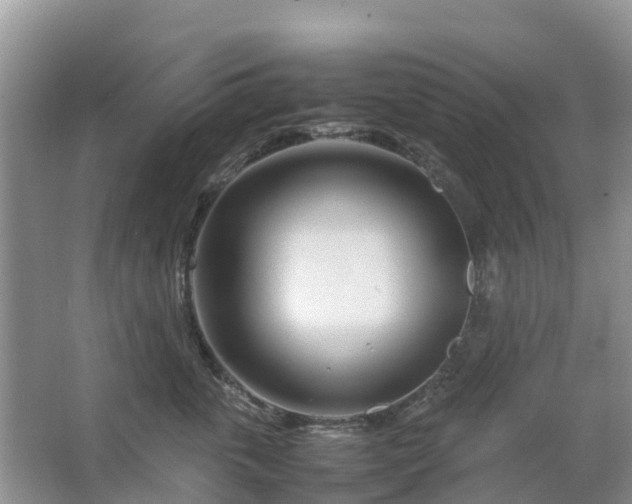 X0000067480763200604150016