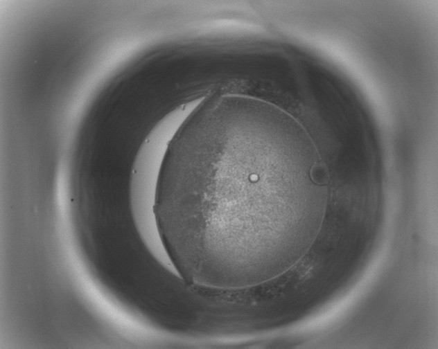 X0000067480765200604150016