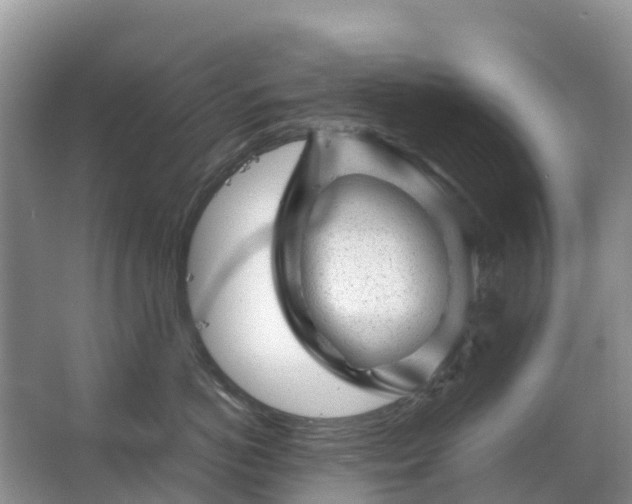 X0000067480766200604150016