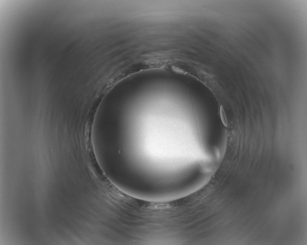 X0000067480767200604150016