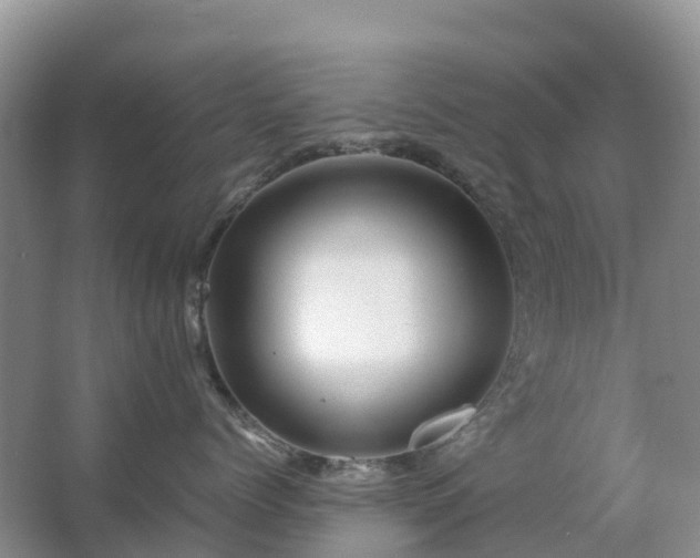 X0000067480768200604150016