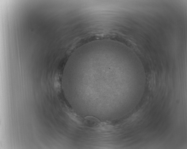 X0000067480770200604150015