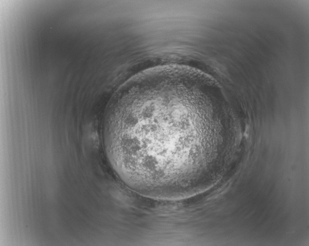 X0000067480771200604150015