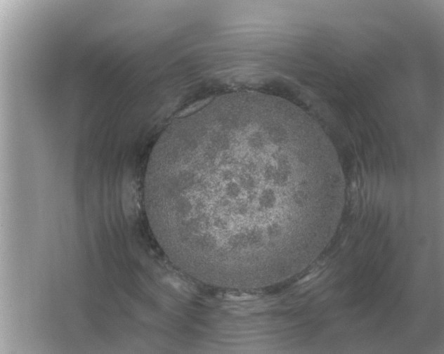 X0000067480772200604150015