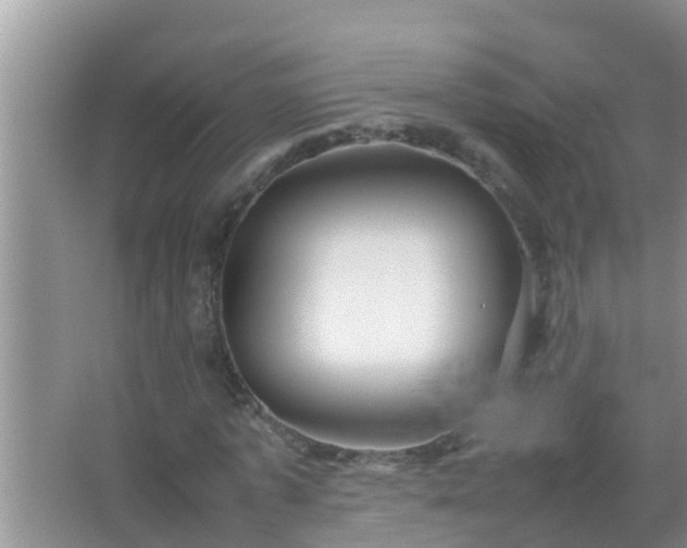 X0000067480773200604150015